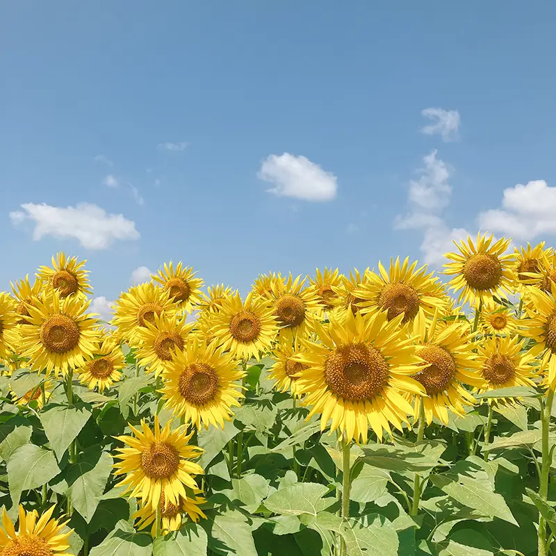 プロフィール写真02